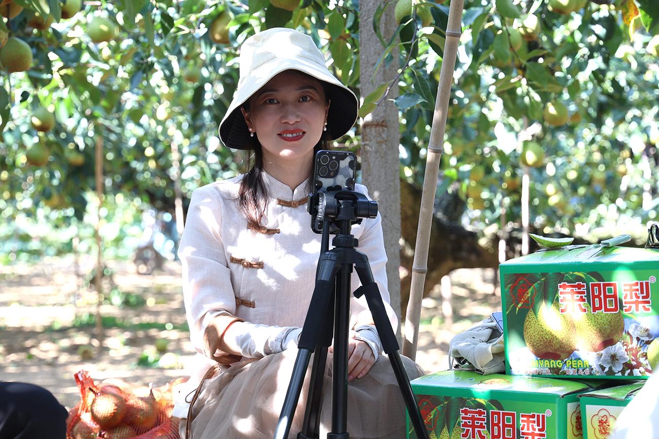 以家乡为底色 用镜头去记录 她一人一机拍短视频宣传家乡莱阳
