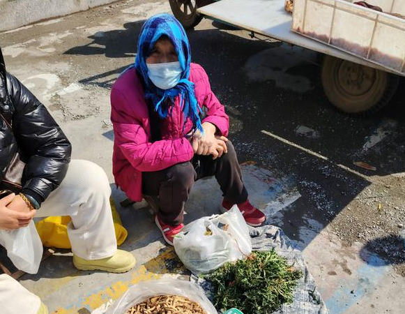 春天“野味”正鲜 烟台市疾控中心提醒：这三种千万别吃
