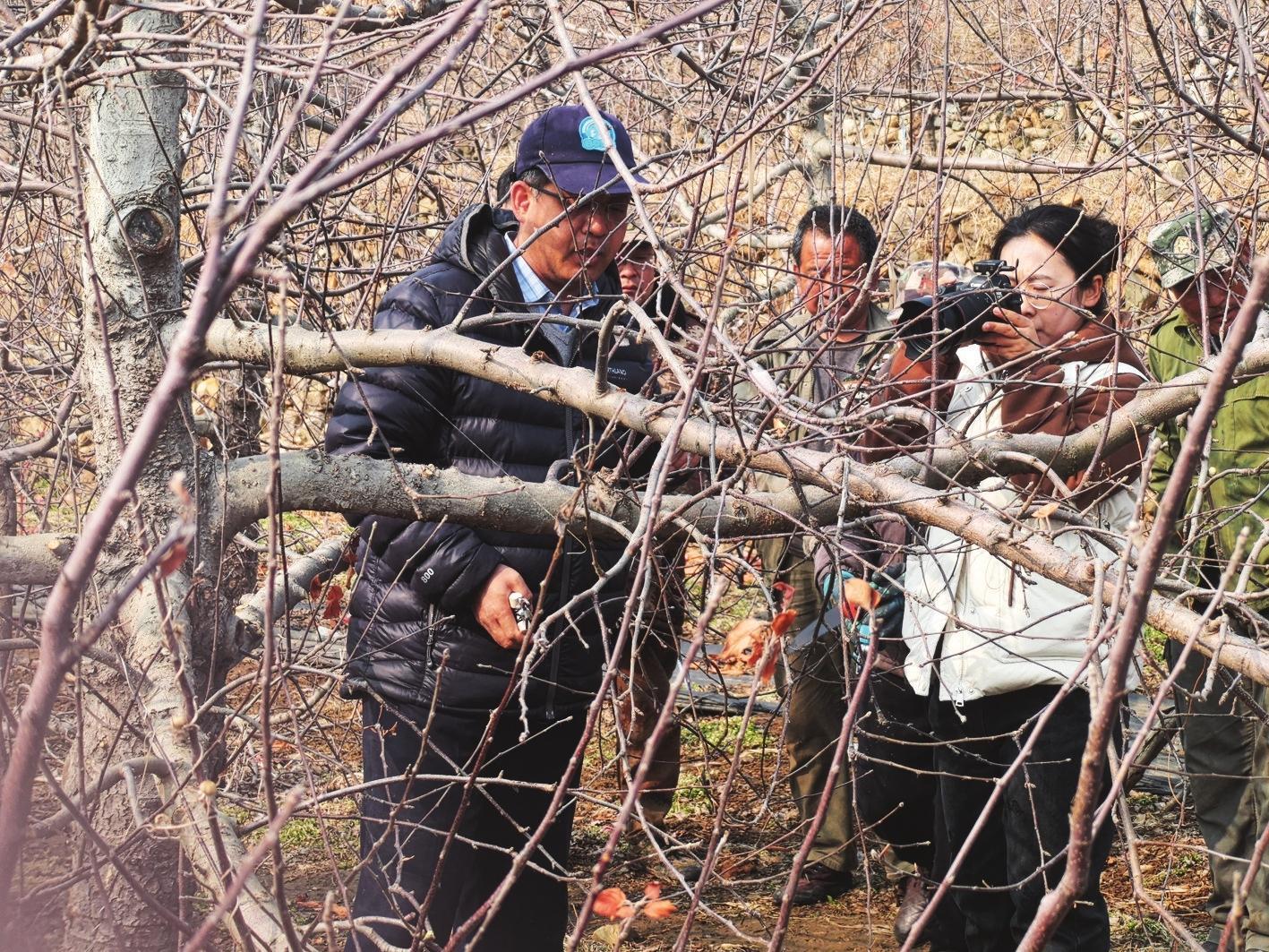 博士下乡到果园授课 栖霞果农大呼过瘾