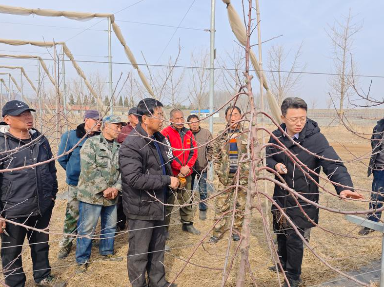 烟台启动2024年“智汇春耕”行动 首批20名专家来到田间地头指导服务春耕