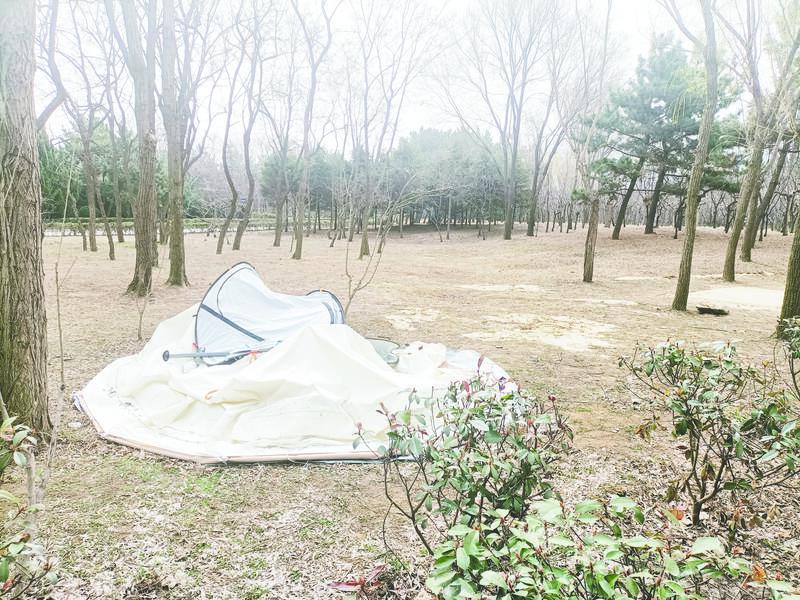 烟大海滨公园长期占用共享绿地的帐篷清理完毕