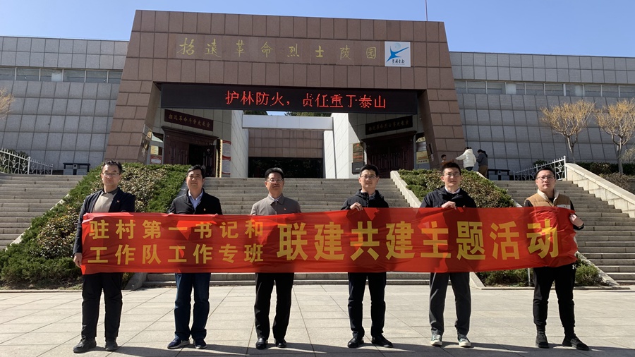 烟台市派驻村第一书记招远片区临时党支部开展联建共建主题党日活动