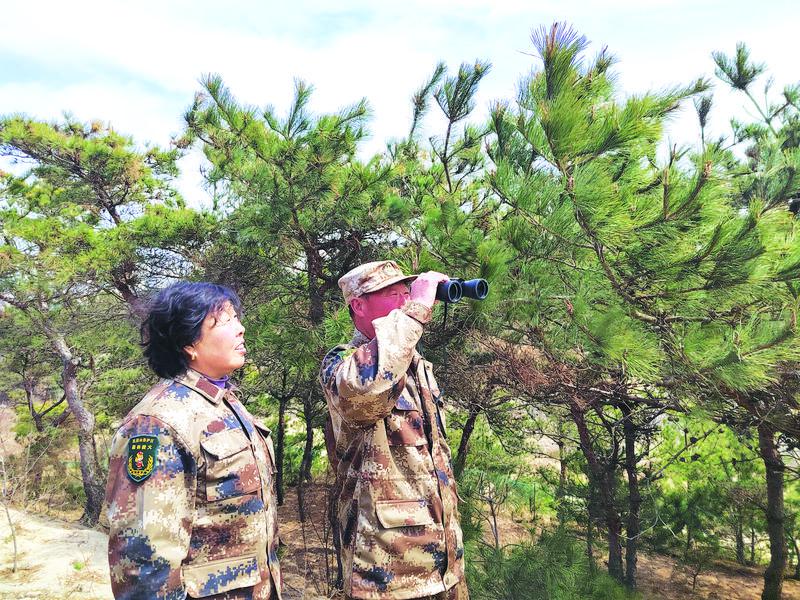 昆嵛山保护区板子口夫妻管护点： 以山为家，护林12年