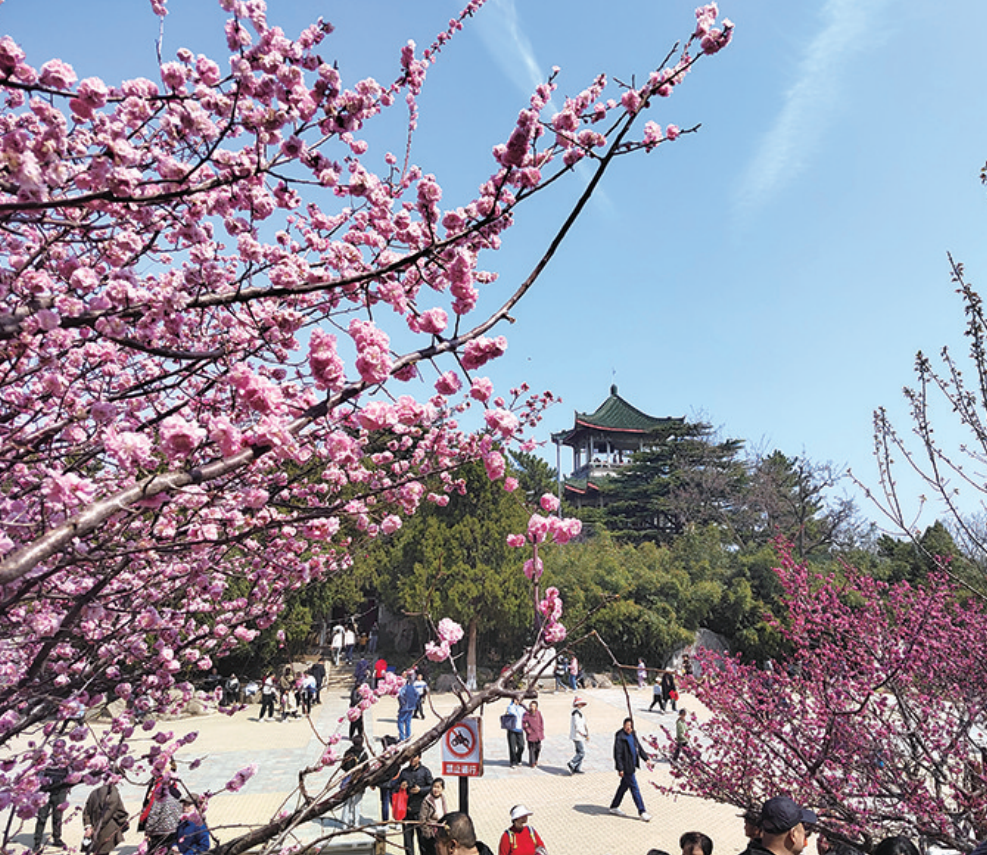 烟台南山公园接待游客8万人次