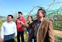 稳扎稳打有干头|莱山区：专家走进田间地头，让种植户在“家门口”学技术