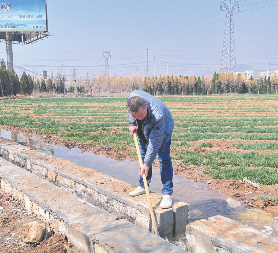 引来“致富水” 修好“小康路” 招远市大力推进高标准农田建设