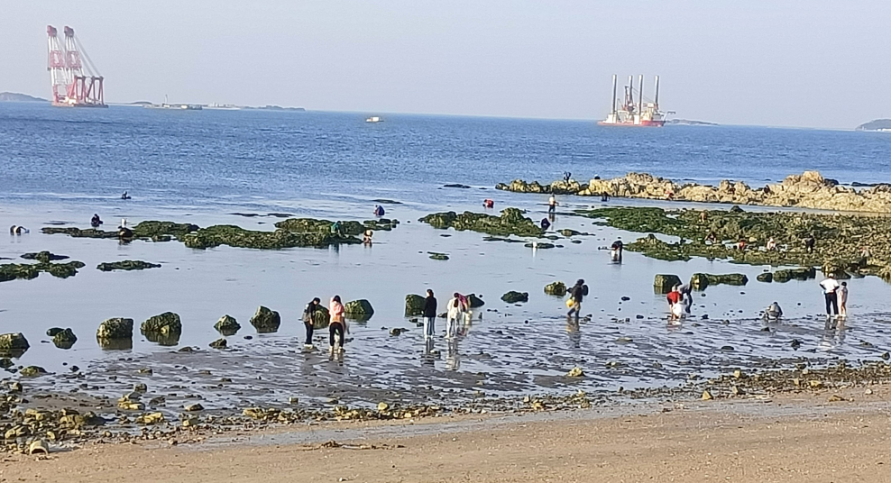 图片新闻|烟台海边成为大家游玩的上佳之选