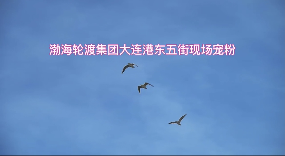 “渤海晶珠”今天首次打卡大连港东五街 渤海轮渡集团实力宠粉