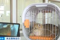 猫狗分区独立候机 全国首家宠物候机厅在深圳机场启用