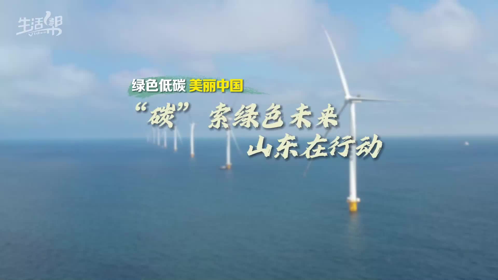 “碳”索绿色未来 山东在行动