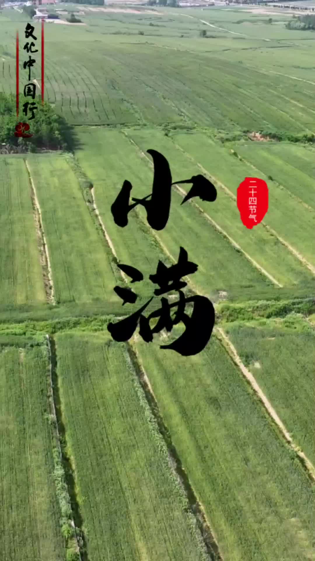 小满节气，万物至此，小得盈满