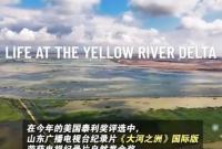 喜讯！山东广播电视台纪录片《大河之洲》国际版获美国泰利奖电视纪录片自然类金奖、摄影类金奖和短纪录片类银奖三项大奖