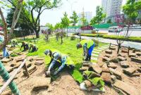 烟台市园林建设养护中心提升改造绿化节点，扮靓城市道路