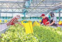 在全面推进乡村振兴上再加力——习近平总书记视察山东重要讲话引发全省干部群众热烈反响