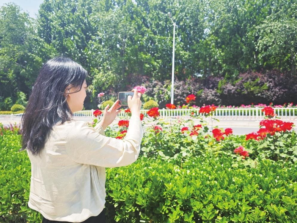 鲜花大道浪漫上线 系芝罘区首条，市民尽享自然之美