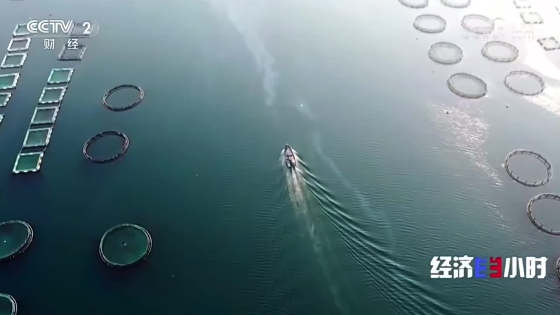 央视《经济半小时》播出《寻找“万亿之城”向上实力——烟台篇》