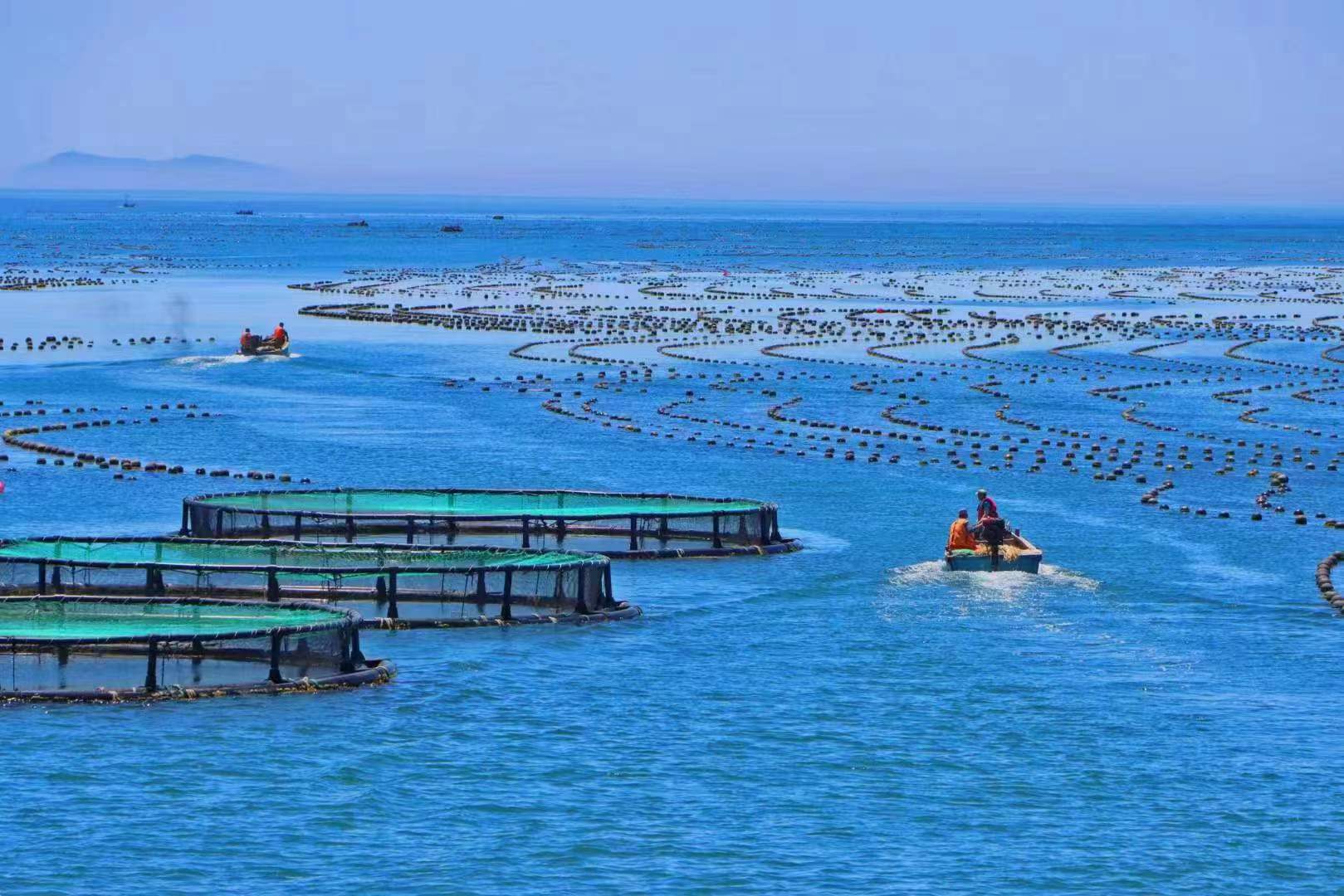 千里海岸线 跃上新征程|穿行长山列岛