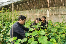 技术服务到田间   答疑解惑在地头