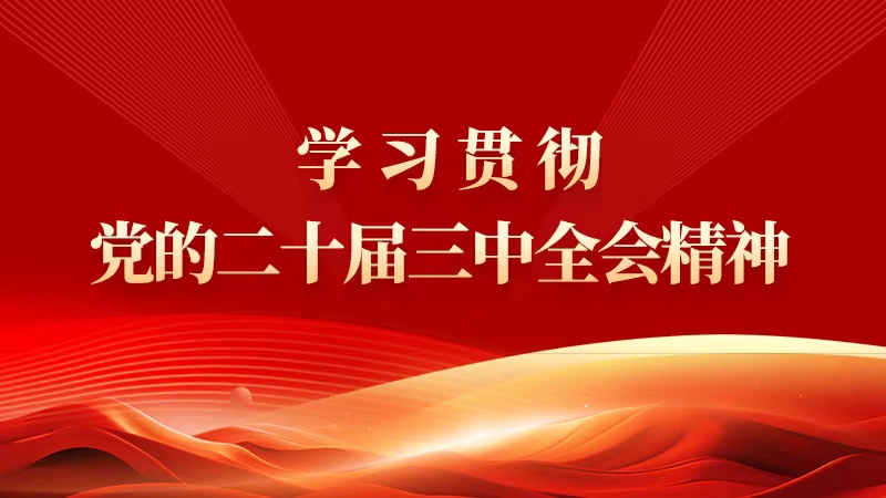 学习贯彻党的二十届三中全会精神