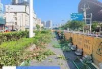 北马路海港路下月新增左转车道，11月10日改造全部完工