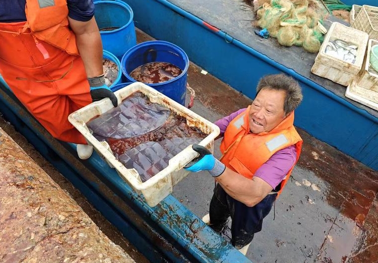 烟台海蜇大丰收！海蜇汤喝起来