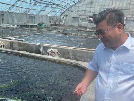烟台：海胆育苗撬开海珍养殖新路径