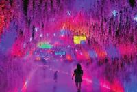盛夏时节，市民游客齐聚植物园体验光影联动