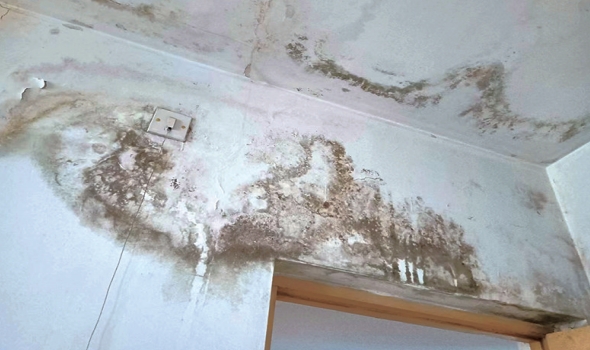 东海里旧改要签“只防水不质保”协议 芝罘区住建局：有违建无法保证施工质量