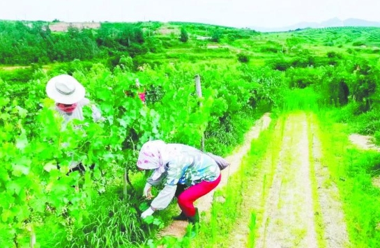 锚定现代化 改革再深化|好山好水有“好价”
