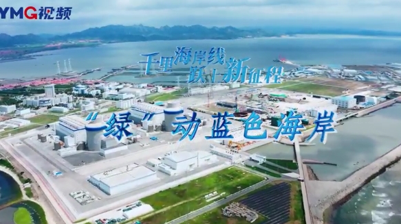 千里海岸线 跃上新征程|“绿”动蓝色海岸