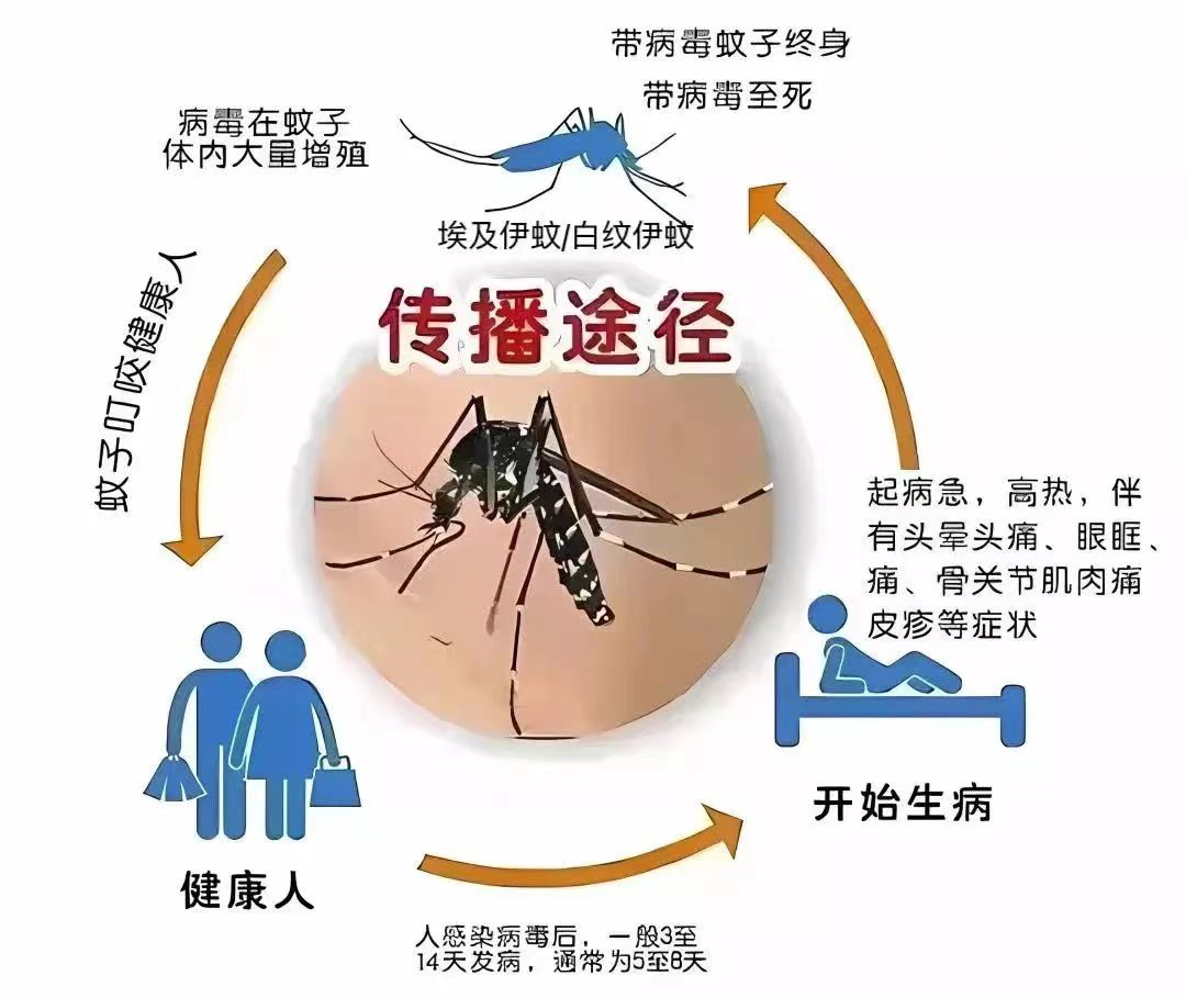 已报告多例确诊病例！无疫苗无特效药！疾控部门紧急提醒→