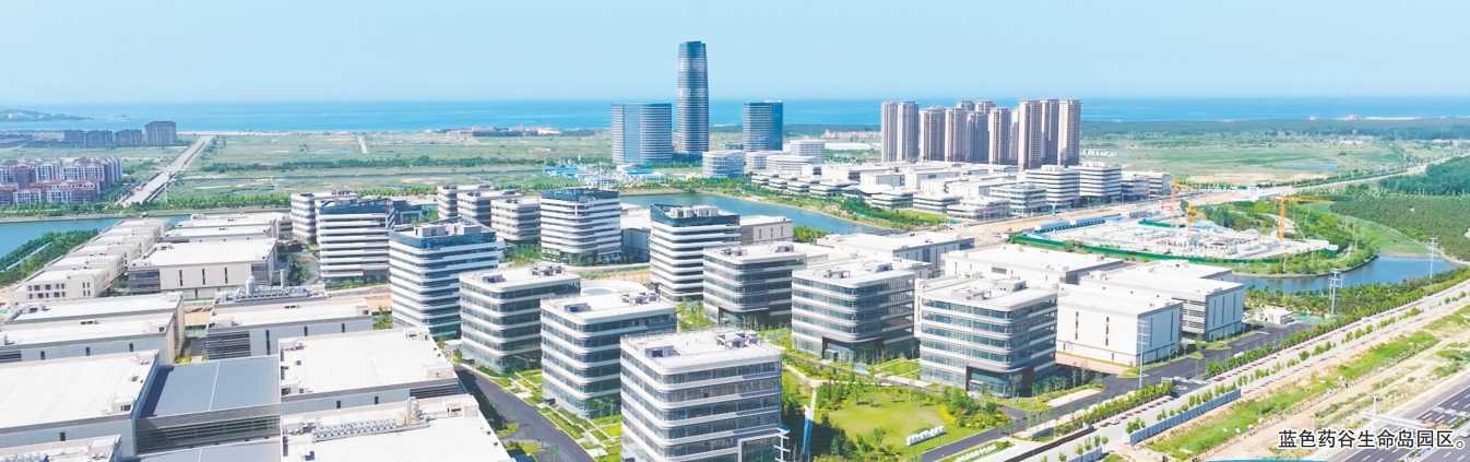 养马岛前，“胶东模式”有新篇