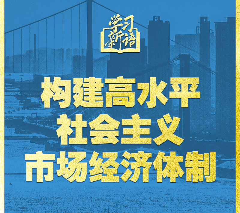 学习新语｜领悟“七个聚焦”：构建高水平社会主义市场经济体制
