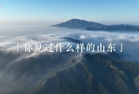 全国生态日|行走山东 踏入一幅绿色画卷