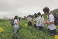 山东长仙丘茗农业科技有限公司：南茶北引兴茶建链拓荒者