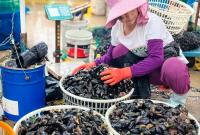 开海喽！一大波鲜美海鲜“游”上餐桌