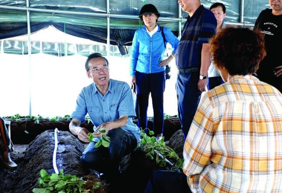 “草莓教授”送技术到田间地头