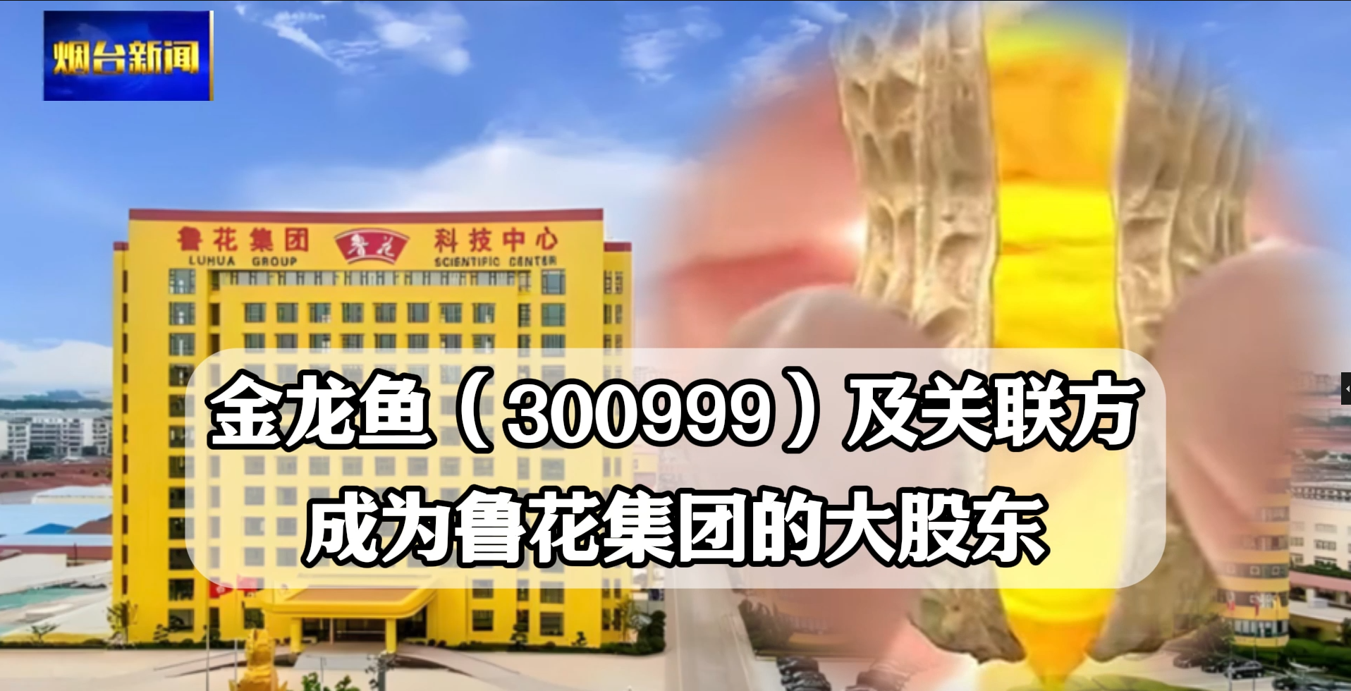 近日，#金龙鱼 公告 公司及关联方将成#鲁花集团 大股东：拟增资55.69亿，合计持股将达26.64%。本次交易完成后，金龙鱼持有鲁花集团10.9536%股权，列鲁花集团第六大股东；香港嘉银持有鲁花集团15.6864%股权，位列鲁花集团第三大股东。金龙鱼及关联方香港嘉银合计持有鲁花集团26.64%股权。粗略计算，本次交易，对鲁花集团的估值为209.0465亿元。