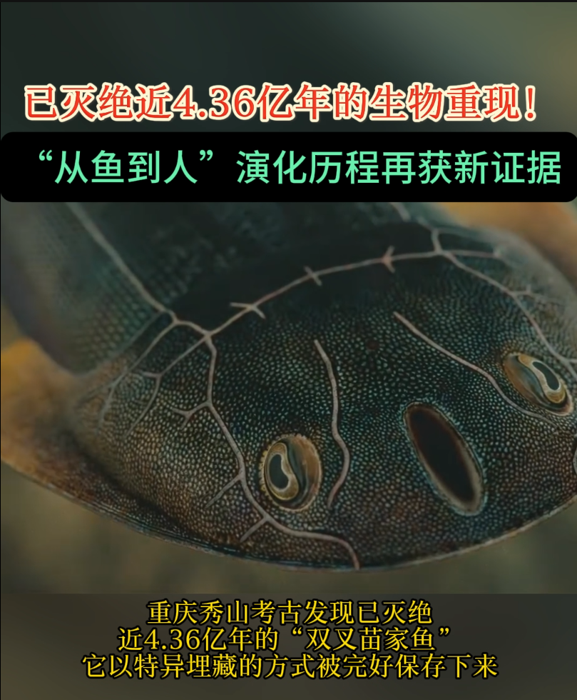 已灭绝近4.36亿年的生物重现，在其身上发现人类四肢演化线索！