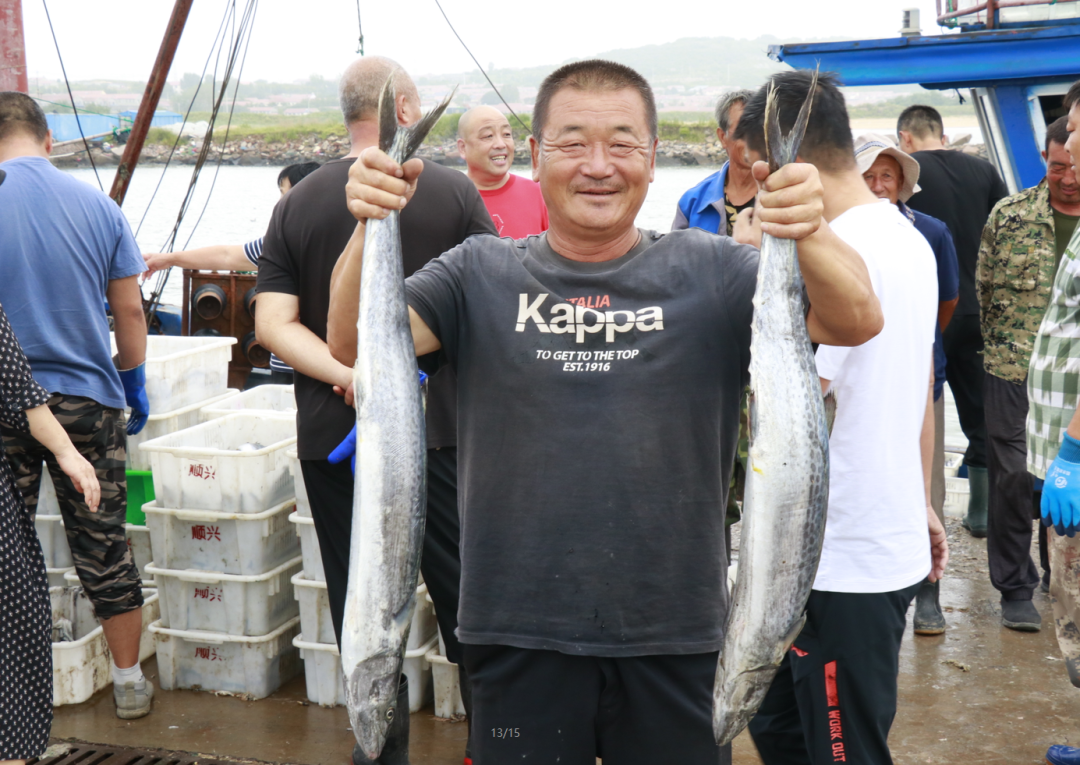 这个秋季来烟台，实现“海鲜自由”！