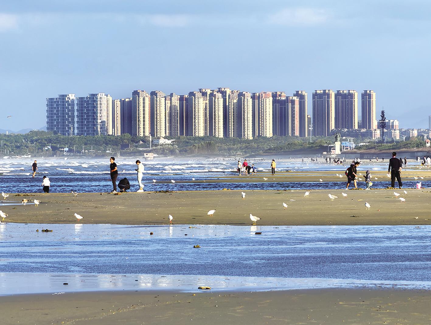 图片新闻|初秋海边 市民和游客喂海鸥，赏海景