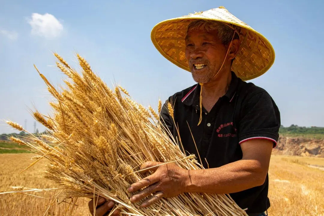 咱农民自己的节日，仪式感满满！