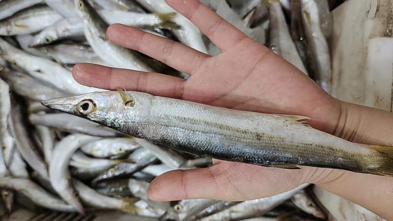 最肥美“海鲜季”到来，烟台市120救急专家提醒：合理饮食谨防急性肠胃炎