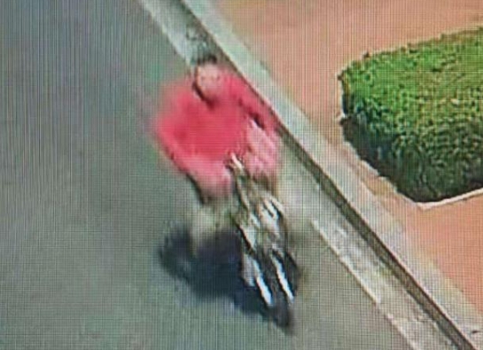 肇事逃逸！烟台交警公开征集案件线索