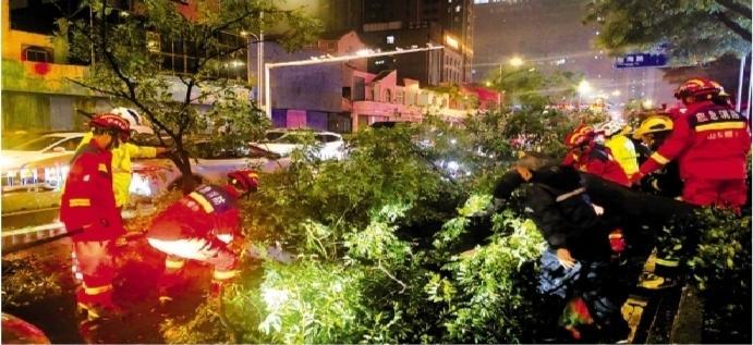 暴风雨：两棵大树砸中三辆车 晚高峰：民警清除障碍保畅通