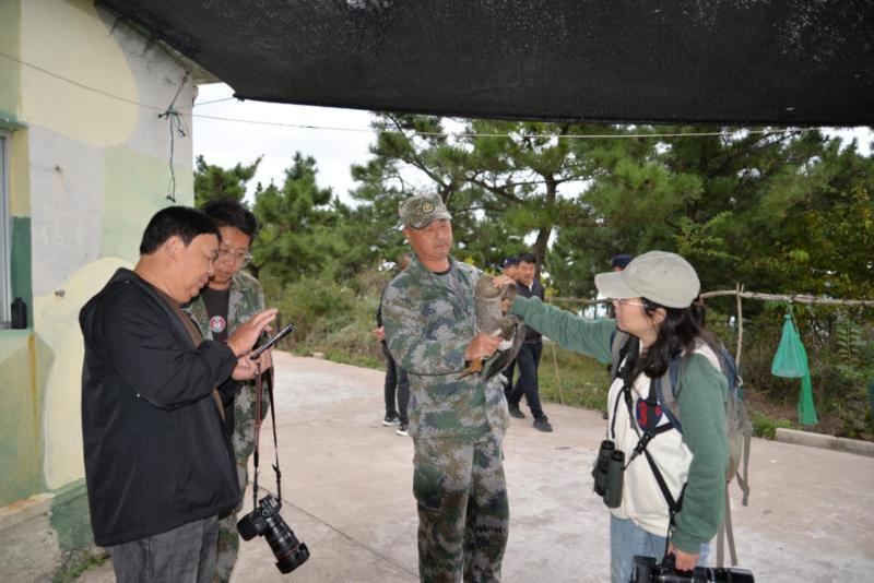 长岛警民携手，为白额雁撑起 “保护伞”