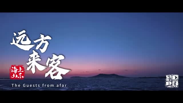 海上山东｜海洋人文纪录短视频《远方来客》英文版，震撼发布！