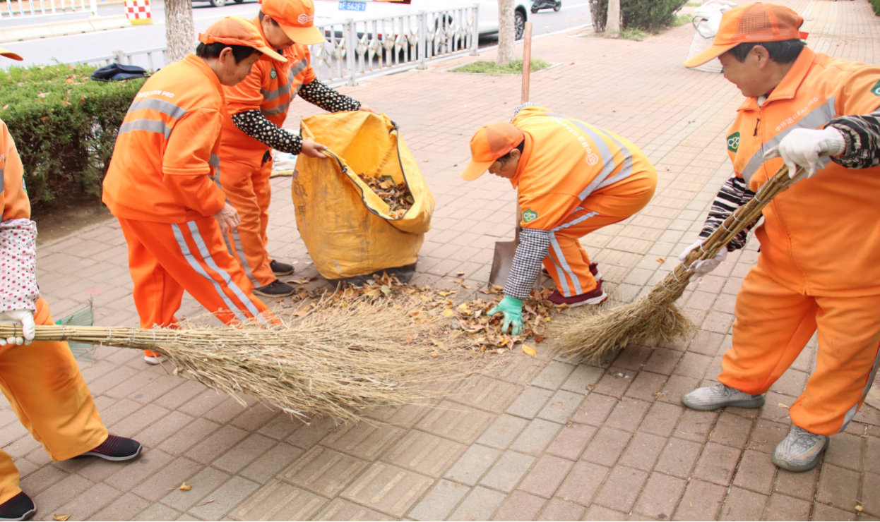 烟台黄渤海新区综合行政执法局多举措做好道路落叶清扫工作