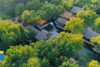 11月3日，世界古典学大会·走读中国之齐鲁印象行在济南启动，来自希腊、德国、意大利、美国、日本、加拿大、俄罗斯、阿根廷等8个国家的26名古典学专家学者，在山东开启为期3天的走读活动。