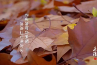 今日立冬|冬之伊始，万物潜藏